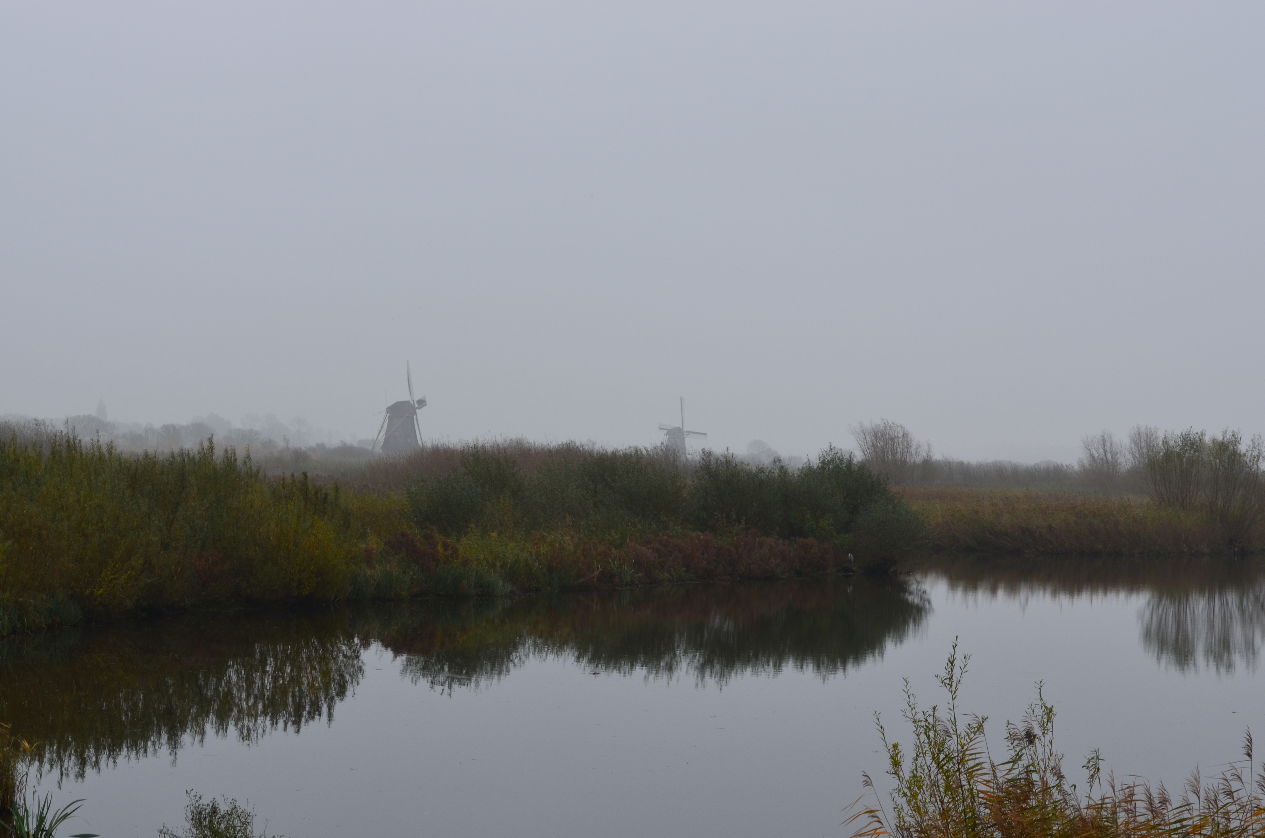 ./2017/19 - Viking Lif/12 - Kinderdijk, The Netherlands/DSC_0240.JPG